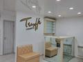 Салоны красоты · 40 м² за 350 000 ₸ в Усть-Каменогорске — фото 4