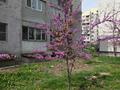 2-комнатная квартира · 62 м² · 1/9 этаж, мкр Атырау, Мкр. Атырау — Кульджинский тракт - ул Халлиулина за 41 млн ₸ в Алматы, Медеуский р-н — фото 28
