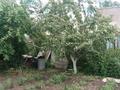 Жеке үй · 3 бөлме · 64.2 м² · 12 жүзд., Достык 21 — Амангелди, бағасы: 12 млн ₸ в Щучинске — фото 18