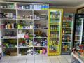 Магазины и бутики · 72 м² за 300 000 ₸ в Шымкенте, Аль-Фарабийский р-н — фото 4