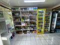 Магазины и бутики · 72 м² за 300 000 ₸ в Шымкенте, Аль-Фарабийский р-н — фото 6