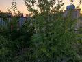 Отдельный дом · 3 комнаты · 128 м² · 8 сот., Сарыөзек 36 за 8.5 млн 〒 в Атырау — фото 7