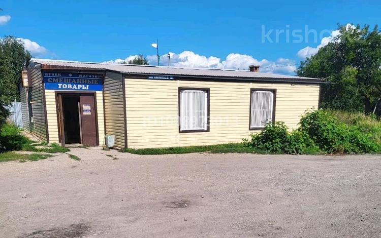Дүкендер мен бутиктер · 100 м², бағасы: 18 млн ₸ в Риддере — фото 2