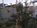 Жеке үй · 4 бөлме · 140 м² · 8 жүзд., Ақбұлым ш/а., Қызыл қайнар 1пер 9 — Қызыл қайнар 1пер, бағасы: 35 млн ₸ в Таразе, мкр Акбулым — фото 5