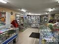 Магазины и бутики • 116.4 м² за 55 млн 〒 в Рудном — фото 5