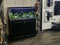 6-бөлмелі пәтер · 395 м², Рахмадиева 12, бағасы: 550 млн ₸ в Алматы, Бостандыкский р-н — фото 6