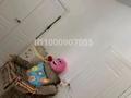 Отдельный дом · 3 комнаты · 118.8 м² · 8 сот., мкр Аксай-2, 11 2 — Талғайран 2, 11 көше за 21 млн ₸ в Атырау — фото 9