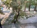 2-бөлмелі пәтер · 46.4 м² · 2/5 қабат, Акбулак ш/а. 11, бағасы: 15 млн ₸ в Таразе, мкр Акбулак — фото 20