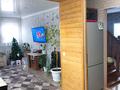 Отдельный дом · 4 комнаты · 130 м² · 10 сот., Дружбы 34 — Сосновая за 28 млн ₸ в Петропавловске — фото 19