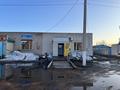 Магазины и бутики · 120 м² за 50 млн ₸ в Павлодарской обл., Актогай