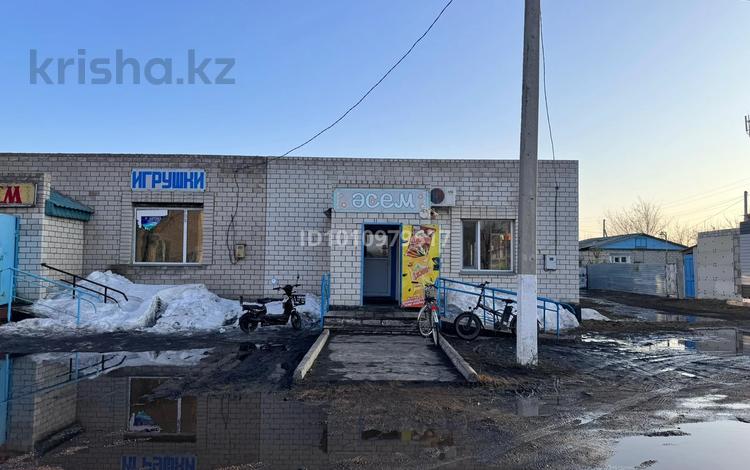 Магазины и бутики · 120 м² за 50 млн ₸ в Павлодарской обл., Актогай — фото 2