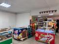 Магазины и бутики · 120 м² за 50 млн ₸ в Павлодарской обл., Актогай — фото 10
