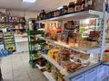 Магазины и бутики · 120 м² за 50 млн ₸ в Павлодарской обл., Актогай — фото 13