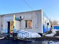 Магазины и бутики · 120 м² за 50 млн ₸ в Павлодарской обл., Актогай — фото 5