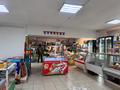 Магазины и бутики · 120 м² за 50 млн ₸ в Павлодарской обл., Актогай — фото 7