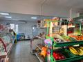 Магазины и бутики · 120 м² за 50 млн ₸ в Павлодарской обл., Актогай — фото 8