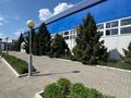 Готовый Бизнес на Авторынке · 30 м² за 1.3 млн ₸ в Семее