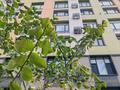 2-комнатная квартира · 46 м² · 9/12 этаж, Тауелсиздик 58 за 34 млн ₸ в Астане — фото 35