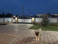 Жеке үй · 6 бөлме · 220 м² · 12 жүзд., Бейбітшілік 8, бағасы: 55 млн ₸ в им. Касыма кайсеновой — фото 22