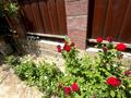 Отдельный дом · 5 комнат · 74 м² · 7 сот., Переулок Конаева 3 — Возле садика Айналайын за 15 млн ₸ в Толе би — фото 21