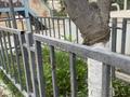 Отдельный дом · 10 комнат · 555 м² · 11 сот., мкр "Шыгыс 3" 44 за 1.8 млн ₸ в Актау, мкр "Шыгыс 3" — фото 75