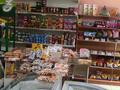Магазины и бутики • 300 м² за 300 000 〒 в Таразе — фото 2