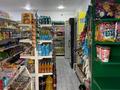 Магазины и бутики · 100 м² за 40 млн ₸ в Кентау — фото 6