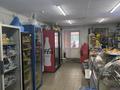 Свободное назначение, офисы, магазины и бутики, склады, общепит, салоны красоты, сельское хозяйство, образование, развлечения · 289 м² за 99 млн ₸ в Кокшетау — фото 11