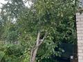 Дача · 1 комната · 12 м² · 6 сот., Плодово-ягодная 69 — Садовый участок здоровье за 800 000 ₸ в Павлодаре — фото 21