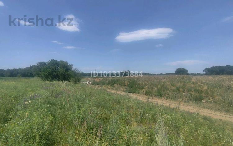 Участок · 6 га, Байтерек (Новоалексеевка) за 31 млн ₸ — фото 2