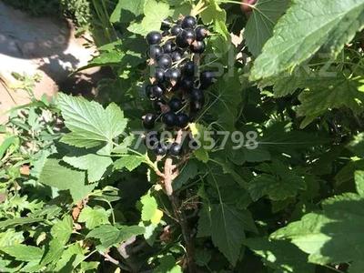 Дача · 2 комнаты · 30 м² · 10.4 сот., Автомобилист — Саздинское водохранилище за 5 млн 〒 в Актобе