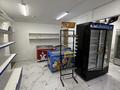 Свободное назначение, офисы, магазины и бутики, склады, общепит, салоны красоты, медцентры и аптеки · 45 м² за 37 млн ₸ в Алматы, Ауэзовский р-н — фото 5