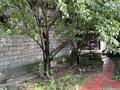Отдельный дом · 2 комнаты · 70 м² · 4.1 сот., жилой массив Кайнар Булак, Садовая 34 — Магазин Милана за 18 млн ₸ в Шымкенте, Абайский р-н — фото 10