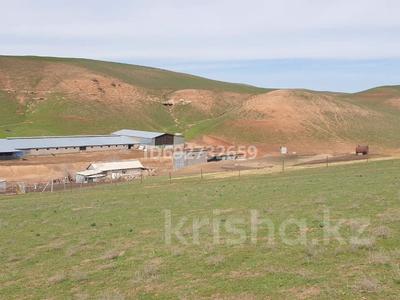 Сельское хозяйство • 200 м² за 250 млн 〒 в Казыгурте