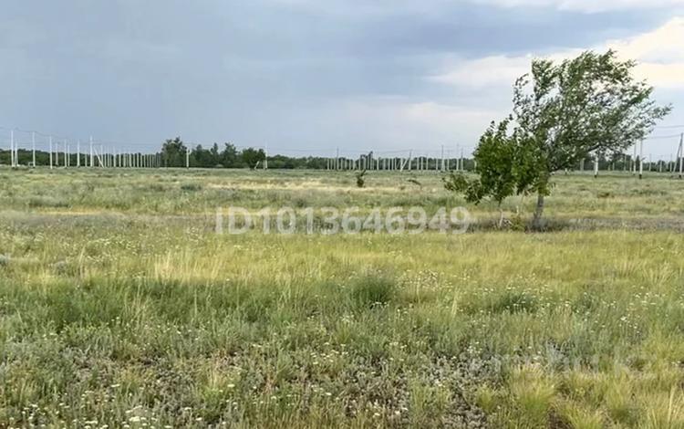 Жер телімі · 7.45 сотық, Мкр 30 172, бағасы: 6.5 млн ₸ в Косшы — фото 11