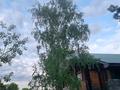Жеке үй · 6 бөлме · 280 м², Щучинский — Лагерь Балдаурен, бағасы: 150 000 ₸ в Акмолинской обл. — фото 12