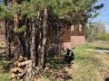 Жеке үй · 6 бөлме · 280 м², Щучинский — Лагерь Балдаурен, бағасы: 150 000 ₸ в Акмолинской обл. — фото 7
