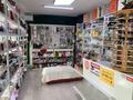САТЫЛАДЫ — ДАЙЫН КОСМЕТИКАЛЫҚ МАГАЗИН · 20 м² за 5 млн ₸ в Шымкенте, Аль-Фарабийский р-н — фото 4