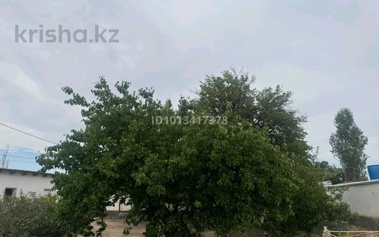 Отдельный дом · 5 комнат · 170 м² · 170 сот., Алпамыс батыр 46 за 20 млн ₸ в Туркестане — фото 2