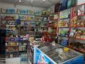 Магазины и бутики • 38 м² за 10 млн 〒 в Таразе — фото 7