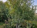 Саяжай · 2 бөлме · 32 м² · 12 жүзд., Лучезарная 110, бағасы: 5 млн ₸ в Турарских дач — фото 21