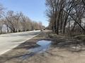 Отдельный дом · 4 комнаты · 100 м² · 6 сот., 31 километр — По Кульджинский трассе за 25 млн ₸ в  — фото 5