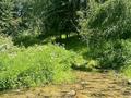 Участок · 25 соток, Село Кабырга — Село Кабырга за 12 млн 〒 в  — фото 14