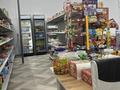 Жеке үй · 5 бөлме · 120 м² · 120 жүзд., Аралбай Махамбетов 28 — Кетебай би, бағасы: 55 млн ₸ в  — фото 7