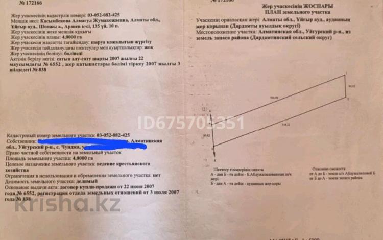 Участок · 4 га, Чунджа за 25 млн ₸ — фото 2