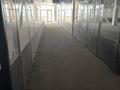 Свободное назначение · 1000 м² за 700 млн ₸ в Астане, Нура р-н — фото 8