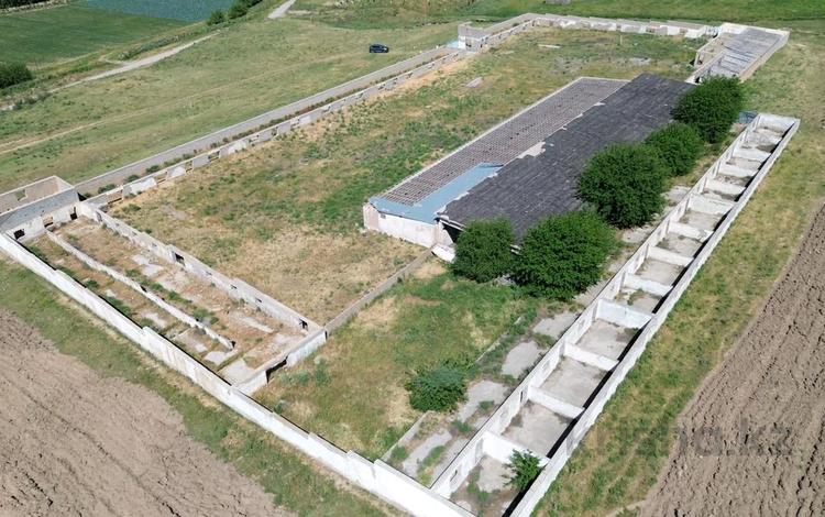 Сельское хозяйство · 2922 м² за 62 млн ₸ в Касымбек датка — фото 2