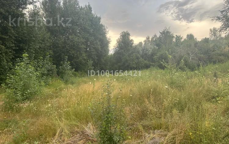 Участок · 10 соток, Аккайын 17 за 20 млн ₸ в Талдыкоргане — фото 2
