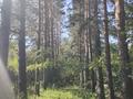 Отдельный дом · 4 комнаты · 70 м² · 1275 сот., Богенбай Батыр 78 за 19 млн ₸ в Сарканде — фото 15