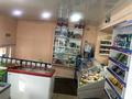 Магазины и бутики • 73 м² за 70 млн 〒 в Усть-Каменогорске — фото 16